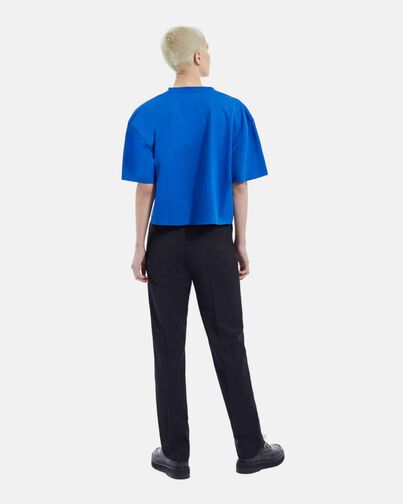 , BLUE, hi-res image number null