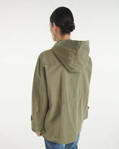 , OLIVE, hi-res image number null