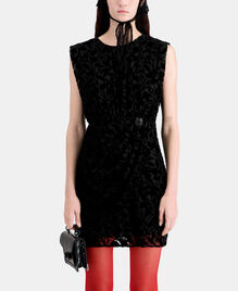 , BLACK, hi-res image number null