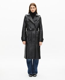 , BLACK, hi-res image number null