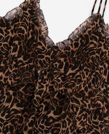 , LEOPARD, hi-res image number null