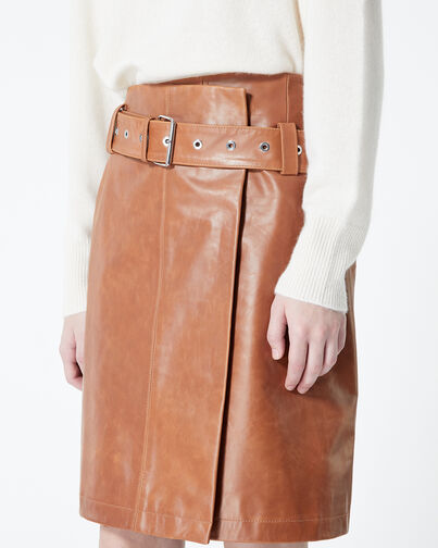 , BROWN, hi-res image number null