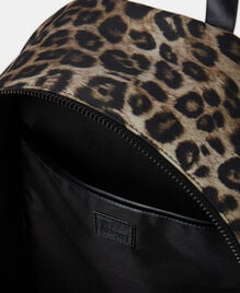 , LEOPARD, hi-res image number null