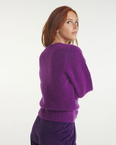 , PURPLE, hi-res image number null