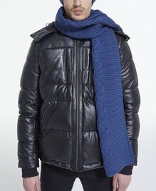 , BLUE, hi-res image number null