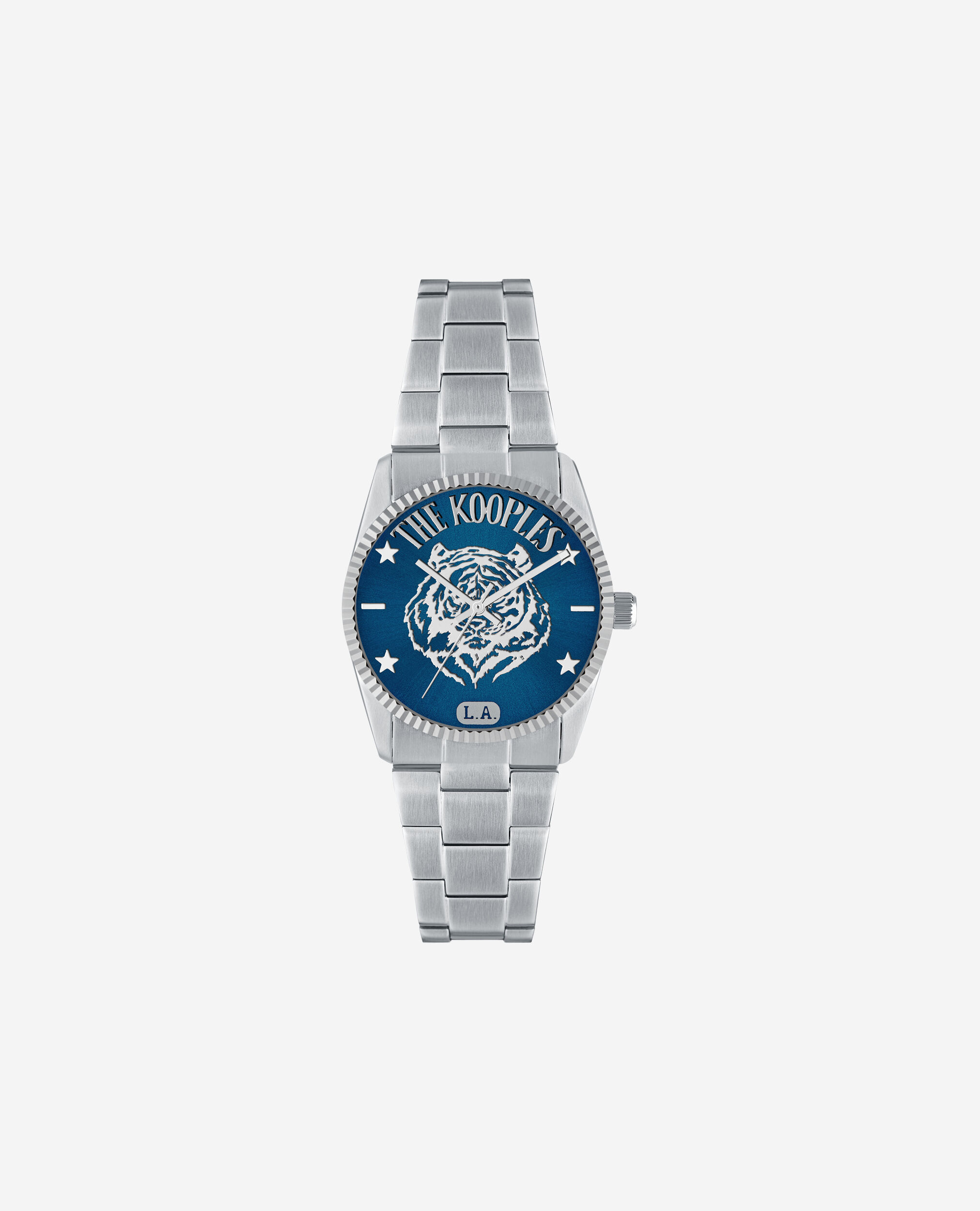 , SILVER, hi-res image number null