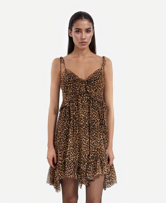 , LEOPARD, hi-res image number null