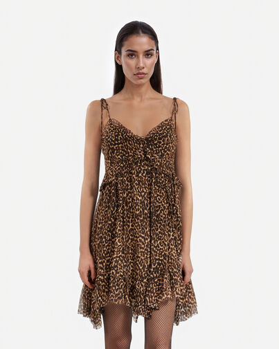 , LEOPARD, hi-res image number null