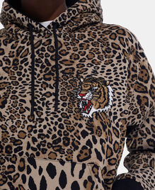 , LEOPARD, hi-res image number null