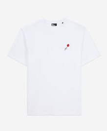 , WHITE, hi-res image number null