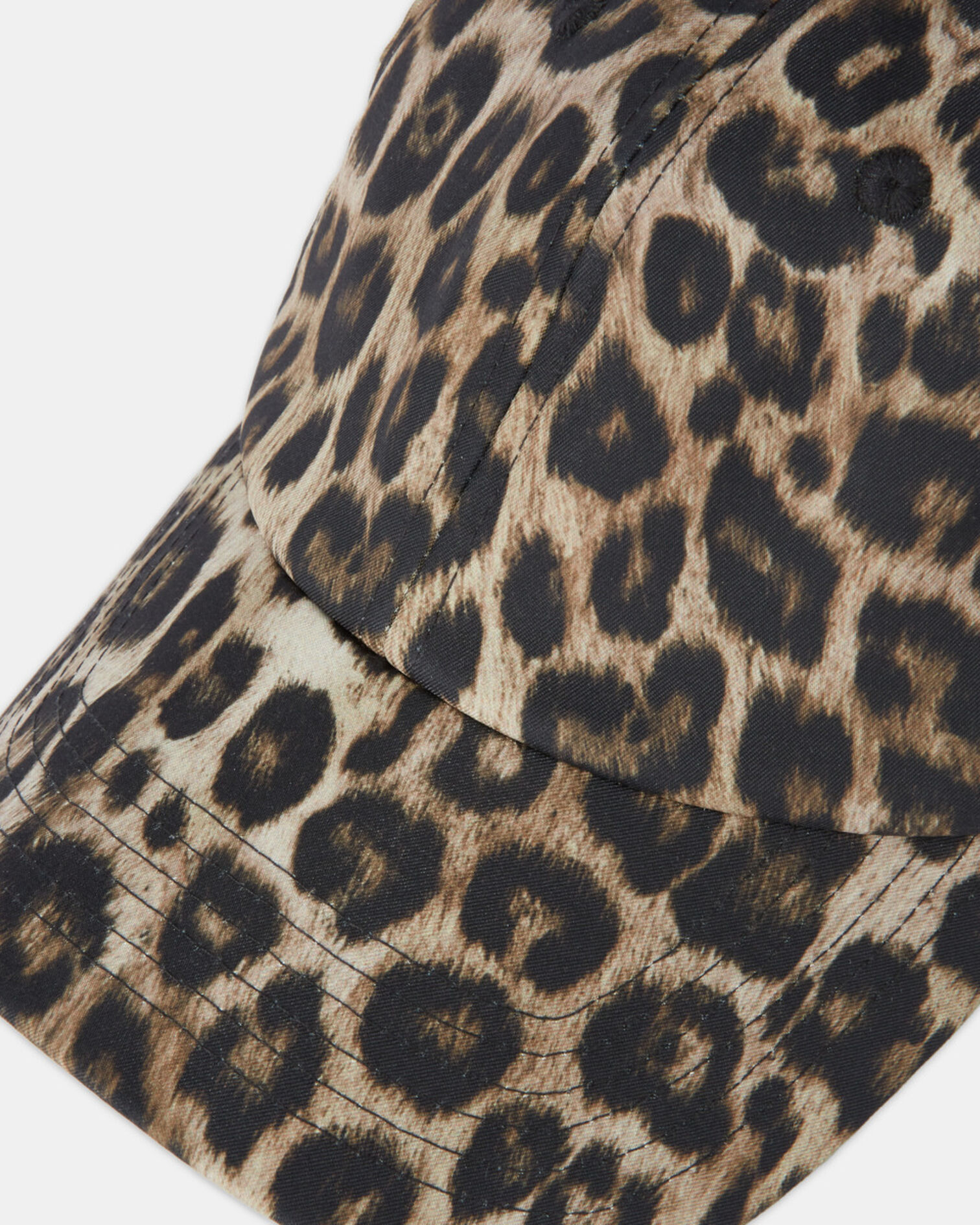 , LEOPARD, hi-res image number null