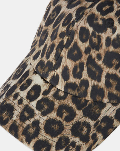 , LEOPARD, hi-res image number null