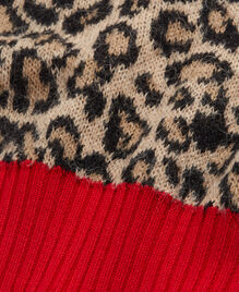 , LEOPARD, hi-res image number null