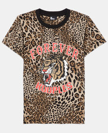 , LEOPARD, hi-res image number null