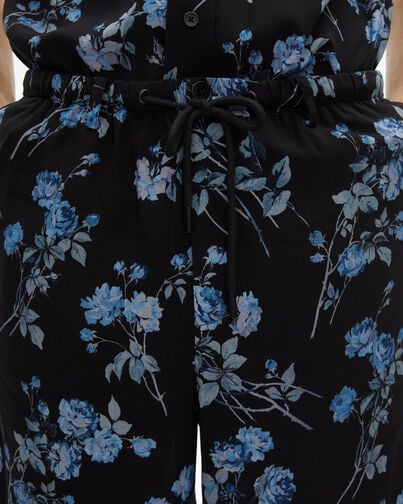 , BLACK BLUE, hi-res image number null