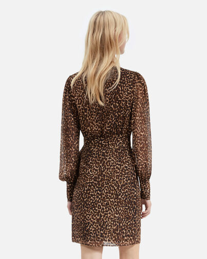 , LEOPARD, hi-res image number null