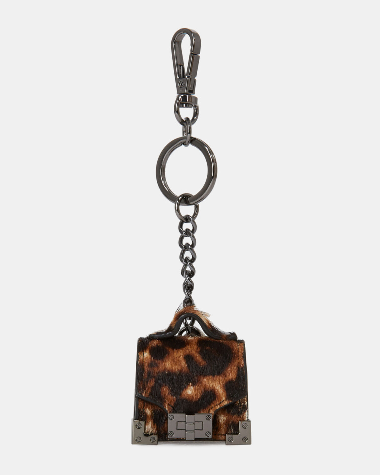 , LEOPARD, hi-res image number null