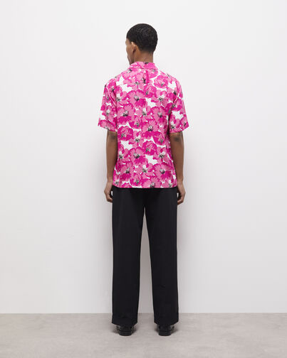 , PINK, hi-res image number null