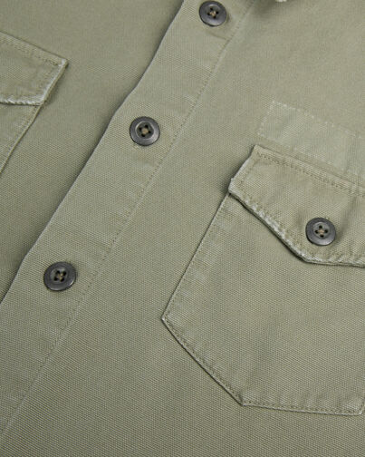 , OLIVE, hi-res image number null