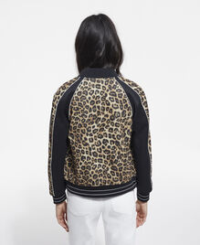 , LEOPARD, hi-res image number null