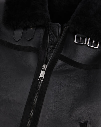 , BLACK, hi-res image number null