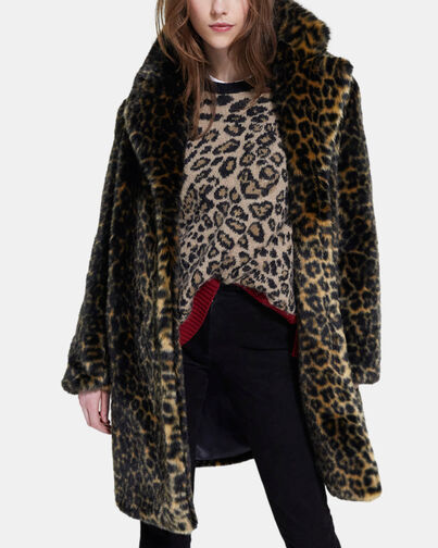 , LEOPARD, hi-res image number null
