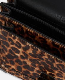 , LEOPARD, hi-res image number null