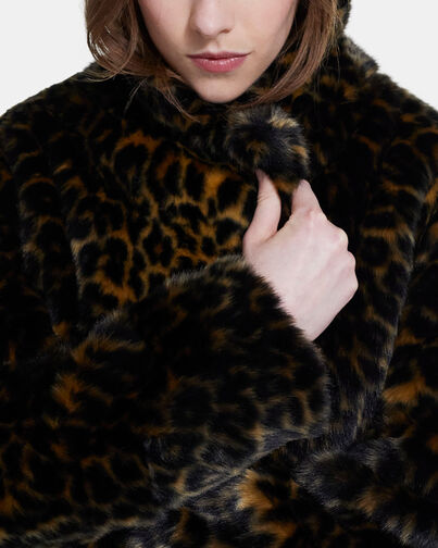 , LEOPARD, hi-res image number null