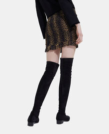 , LEOPARD, hi-res image number null