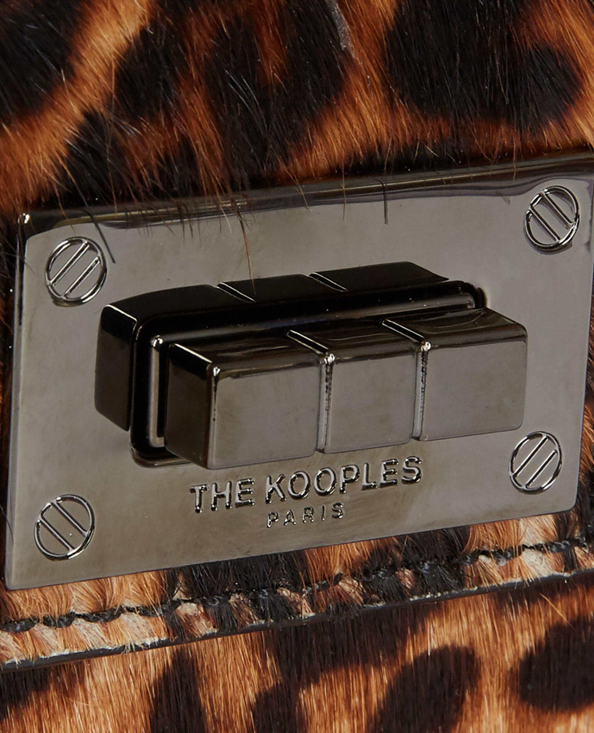 , LEOPARD, hi-res image number null