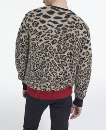 , LEOPARD, hi-res image number null