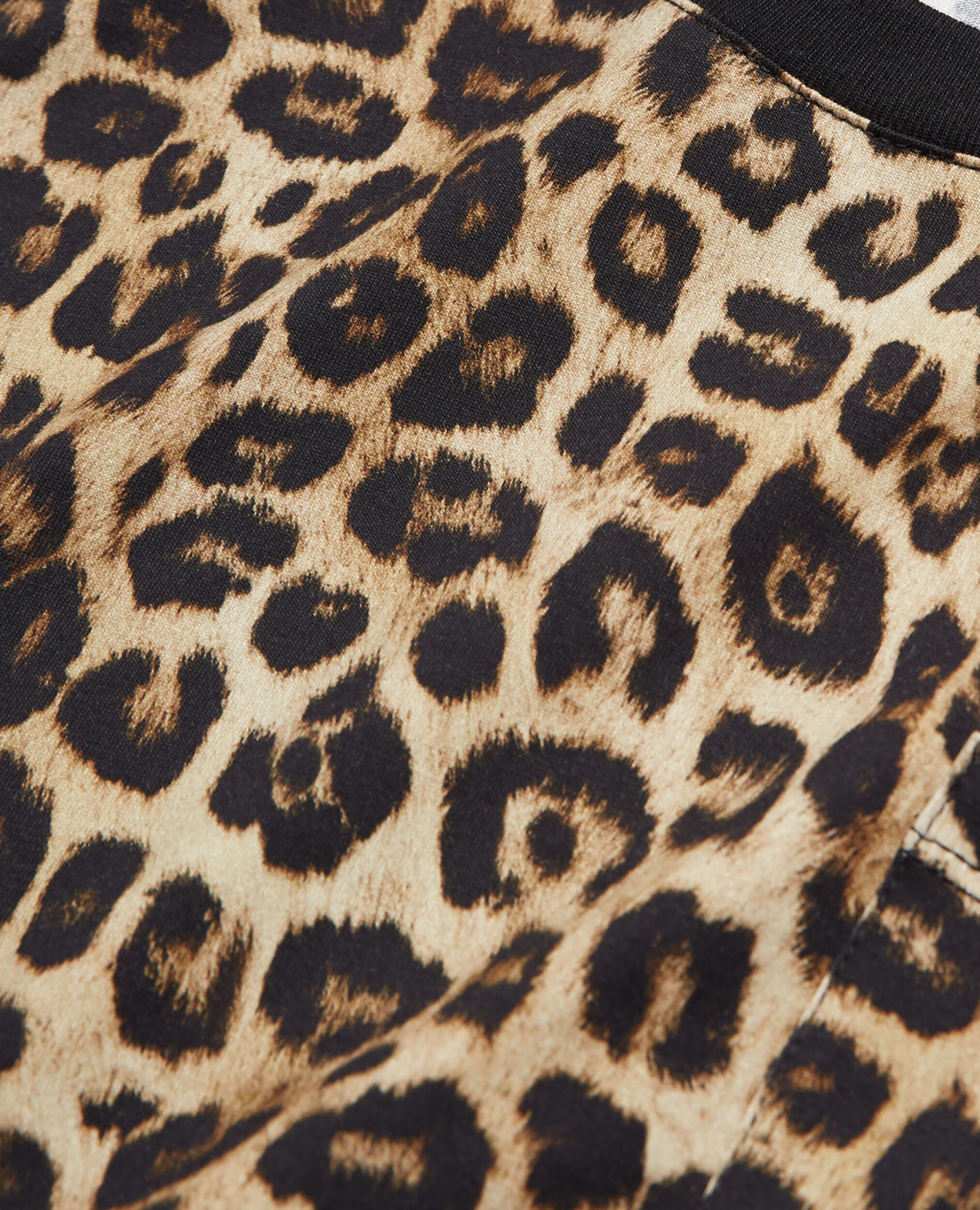 Leopard print T-shirt, LEOPARD, hi-res image number null