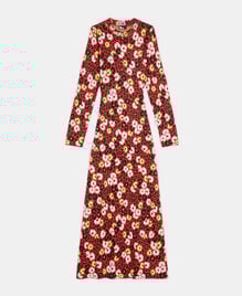 , DARK RED, hi-res image number null
