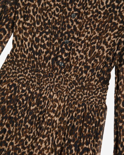 , LEOPARD, hi-res image number null