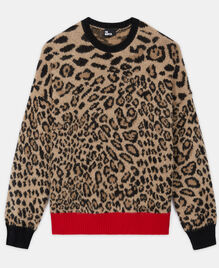 , LEOPARD, hi-res image number null