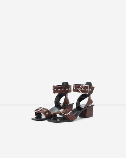 , BROWN, hi-res image number null