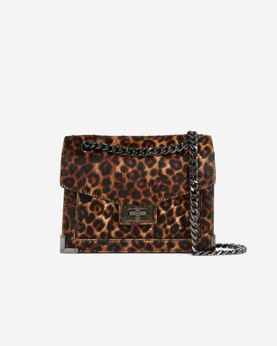 , LEOPARD, hi-res image number null
