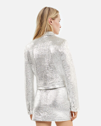 , SILVER, hi-res image number null