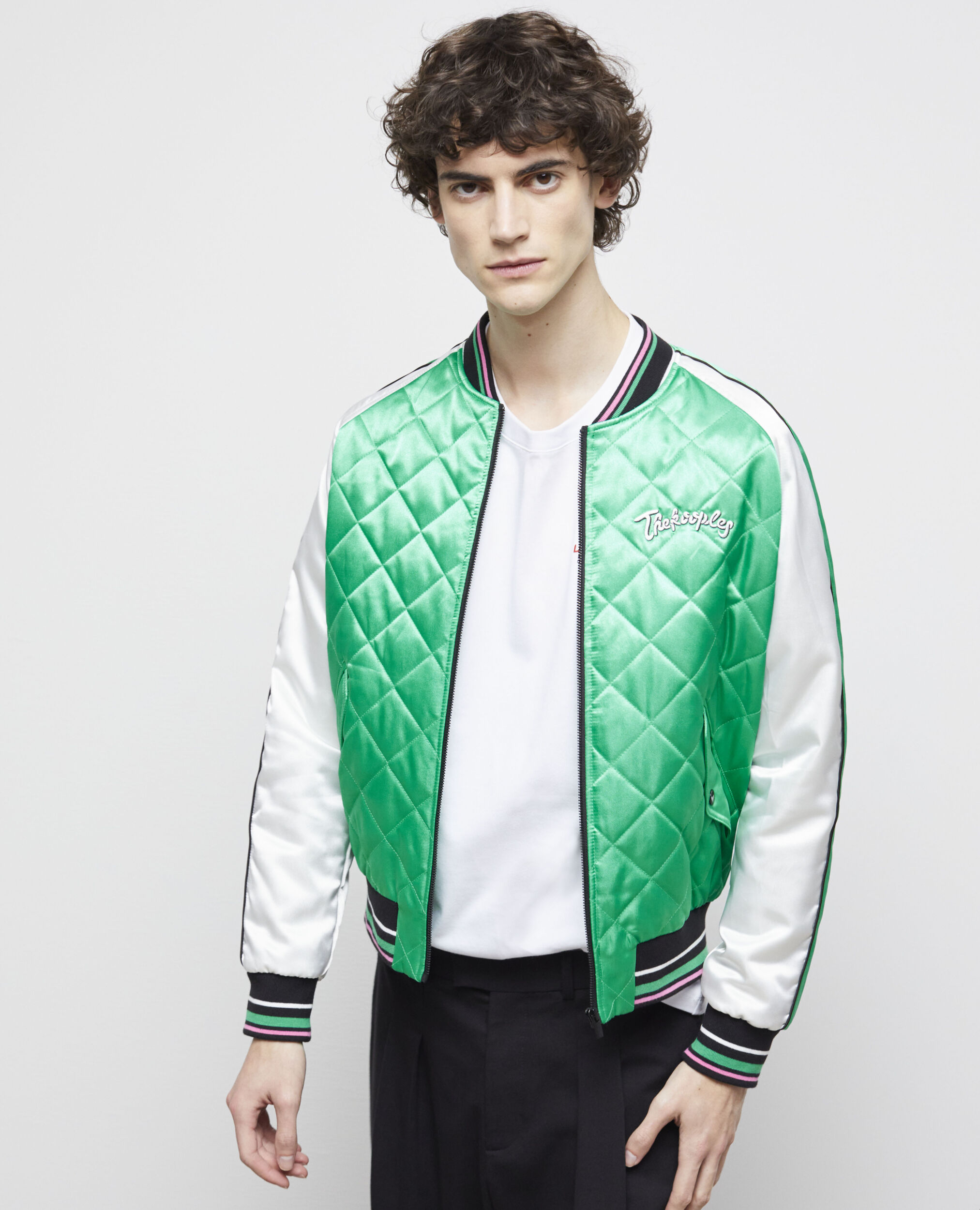 Blouson Teddy bicolore avec broderies, GREEN-WHITE, hi-res image number null