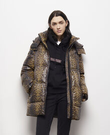 , LEOPARD, hi-res image number null