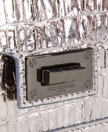 , ANTIC SILVER, hi-res image number null