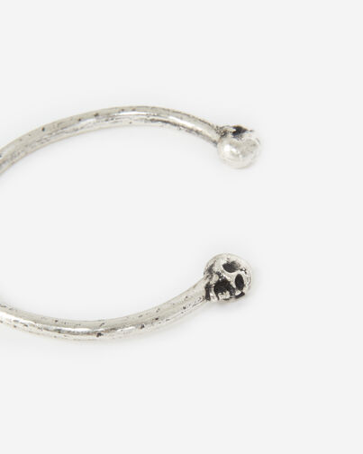 , ANTIC SILVER, hi-res image number null