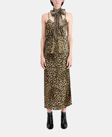 , LEOPARD, hi-res image number null