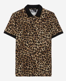 , LEOPARD, hi-res image number null