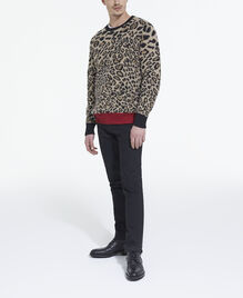 , LEOPARD, hi-res image number null