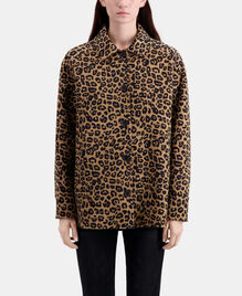 , LEOPARD, hi-res image number null