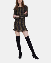 , LEOPARD, hi-res image number null