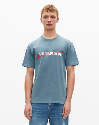 , BLUE GREY, hi-res image number null
