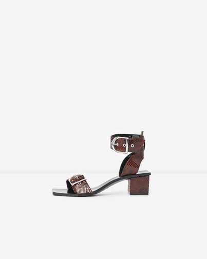 , BROWN, hi-res image number null