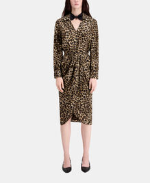 , LEOPARD, hi-res image number null